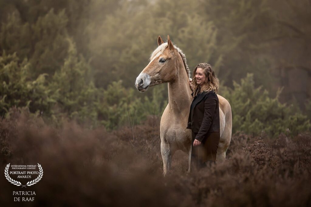 Paarden fotografie